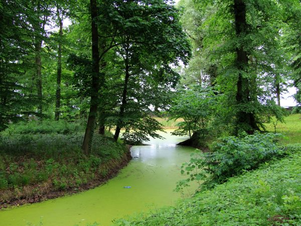 zdjecie Stary Gostków