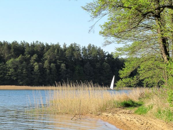 Na brzegu jeziora Wdzydze przy OW Largo