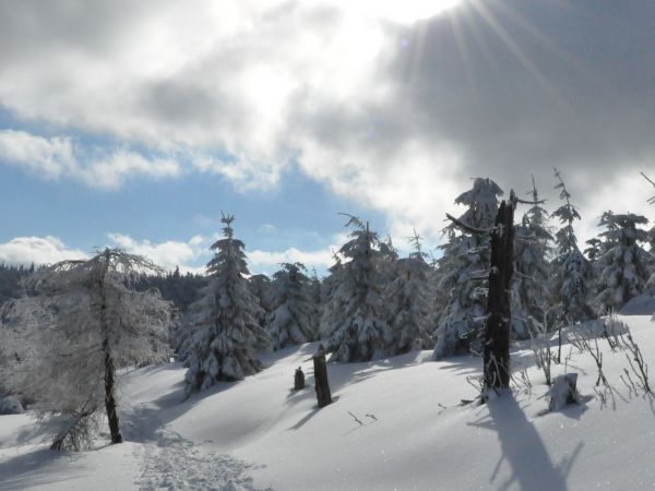 zdjecie Świeradów-Zdrój