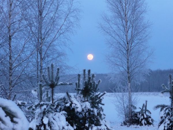 zdjecie Piłatowszczyzna