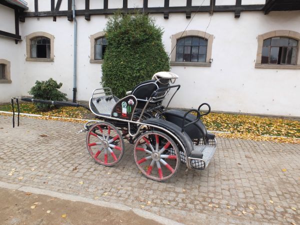 powóz do zawodów terenowych z bliska -ma hamulce tarczowe ze wspomaganiem hydraulicznym a kosztuje tyle co dobre auto