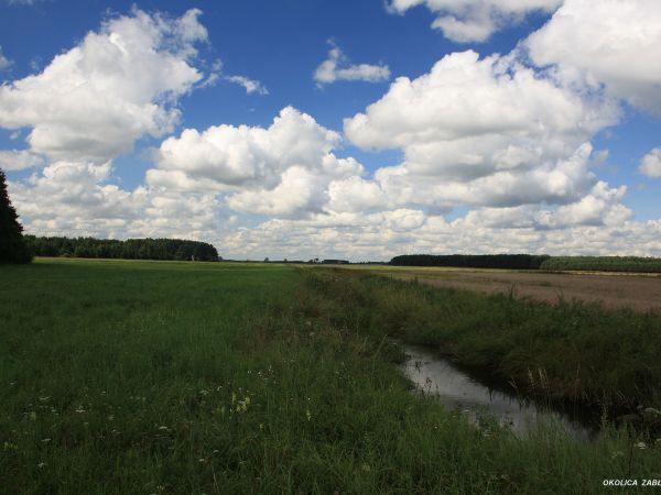 zdjecie Tyniewicze Duże