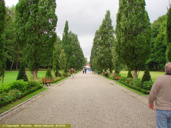 zdjecie Kudowa-Zdrój