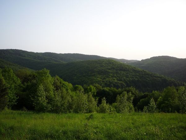 Widok z Kozówki na Kamienna i Babicę.