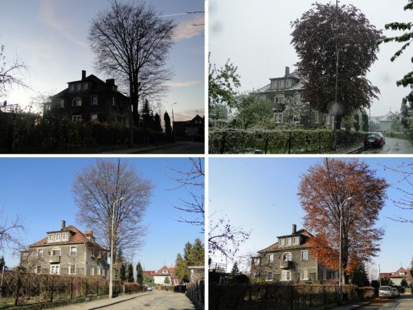 Osiedle Zachodnie. Widok na budynek przy ul. Wojciecha, od ul. Wileńskiej.