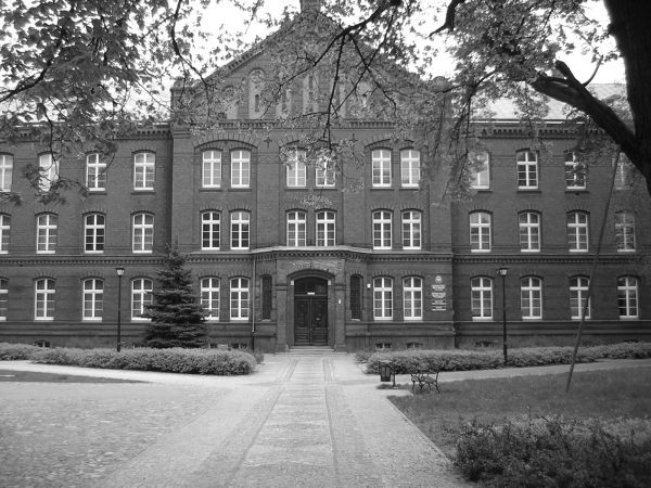 zdjecie Sulechów