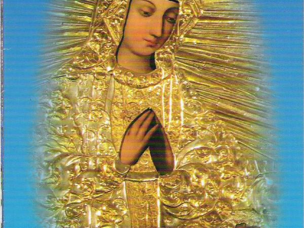 W 1996r. przypadało 400-lecie cudownego Wizerunku Matki Bożej Pocieszenia - Pani Sanockiej. Wierni, w ramach tego Maryjnego jubileuszu, modlili się o beatyfikac