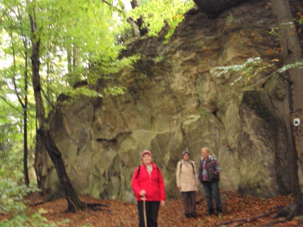 przed / obok: pomnika przyrody "Ściana skalna na Kostryniu".