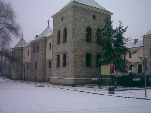 Zamek sielecki