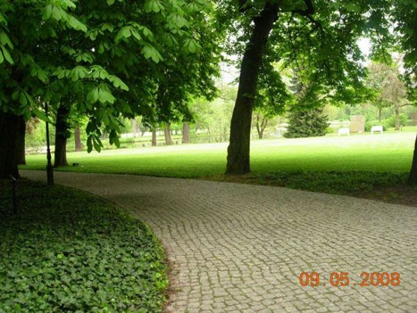 zdjecie Radziejowice