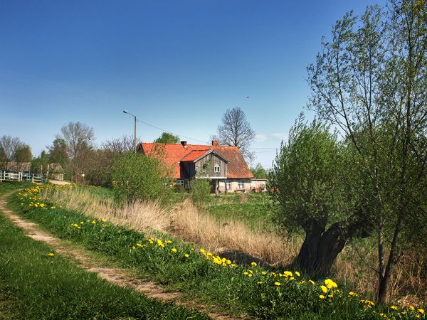 Dom podcieniowy

fot. Łukasz Kałduński