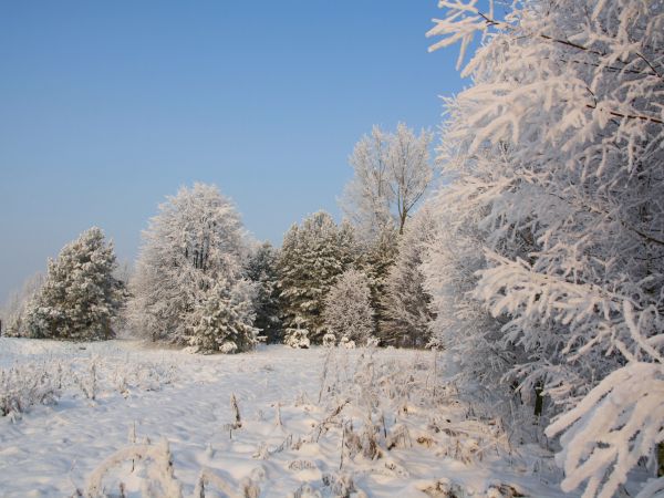 zdjecie Tyniewicze Duże