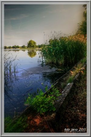 Staw Posmyk...Lubliniec..