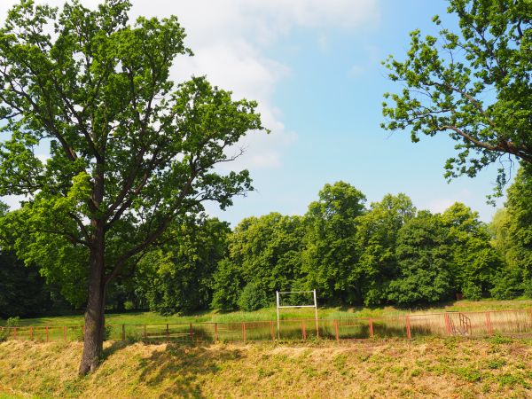 staw i park dworski Załuskich - właścicieli Iwonicza Wsi i Iwonicza Zdroju -  zapraszam do osobnej galerii i opisów zdjęć.