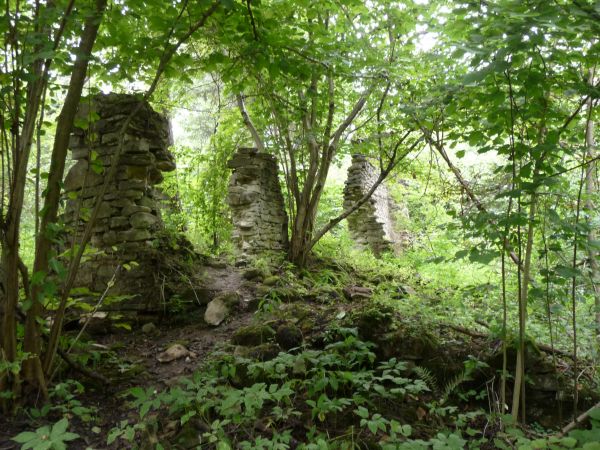 "CZARTOWE POLE"     Ruiny papierni