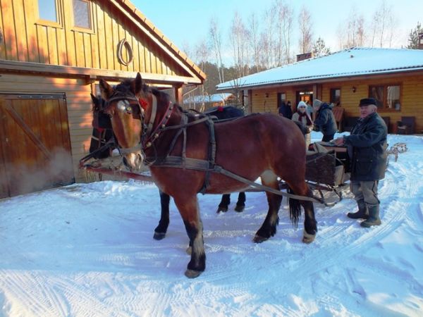 Leśne Siedlisko, Pojezierze Brodnickie