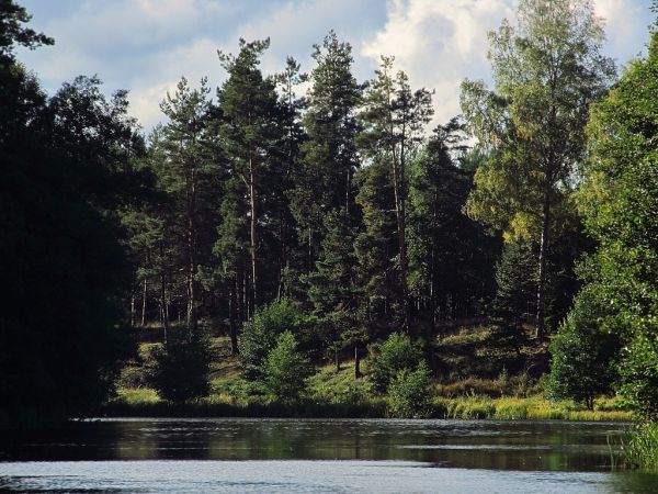 Na zalewie Wdy we Wojtalu