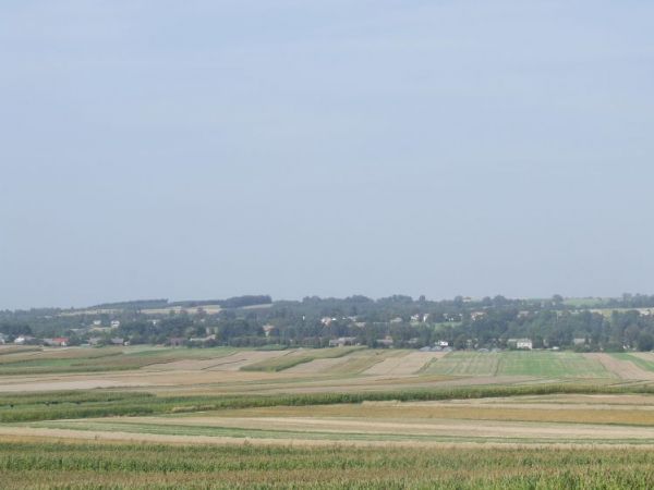 zdjecie Małochwiej Mały