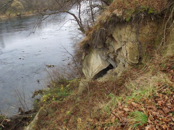 był dwór / pałac ufortyfikowany - wokół murem ogrodzony, parkanem z bramą /widoczne na innych zdjęciach/, zbudowany był z grubych bali jodłowych bądź modrzewiow
