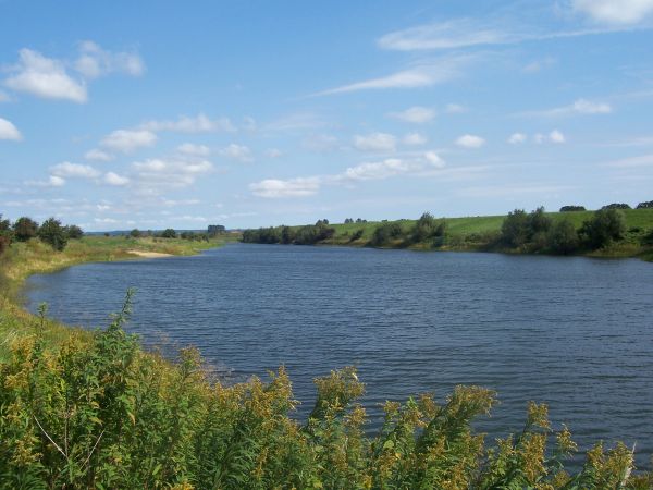 Szałwinek za wałem :-)