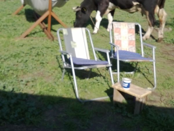 GOŚĆ NA PODWÓRKU  2014r.