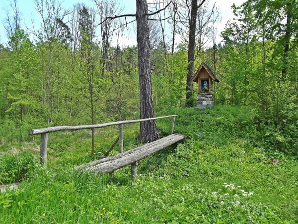 kapliczka - przy leśniczówce, przy drodze do m. Borownica - tu kładka nad potokiem o tej samej nazwie, dopływ Sanu.