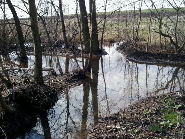 zdjecie Zajączkowice