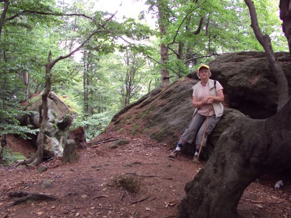 rumowisko skalne na grzbiecie górskim - zwany : Masyw Kamienia, kiedyś tam czynny kamieniołom - w temacie zapraszam do galerii : Glinne, Żernica Wyżna, Kostryń.