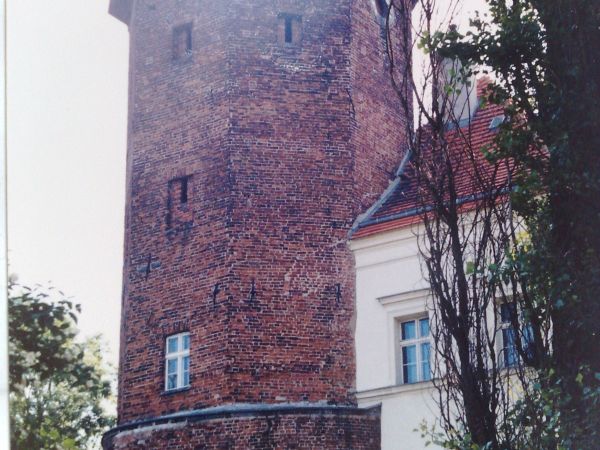 Zamek z pierwszej połowy XIV wieku, wybudowany przez Maćka Borkowica, murowany z cegły, tynkowany z wyjątkiem wieży.