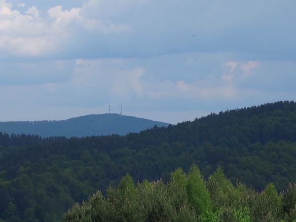 hen - pośrodku : szczyt g. Jawor - 817m npm, zwanej też Piekło, z przekaźnikami sygnału telewizyjnego i telefonii komórkowej, na zboczu: rezerwat przyrody "Cisy