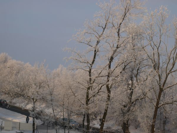 zdjecie Pruszcz Gdański