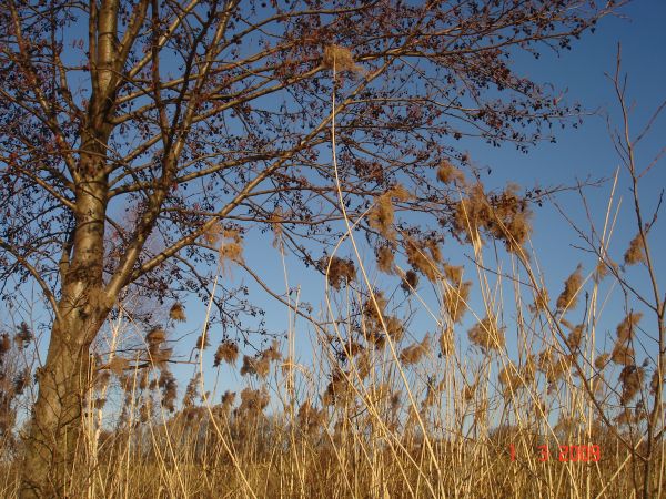 Fot. Ewa Kamila Jabłońska
