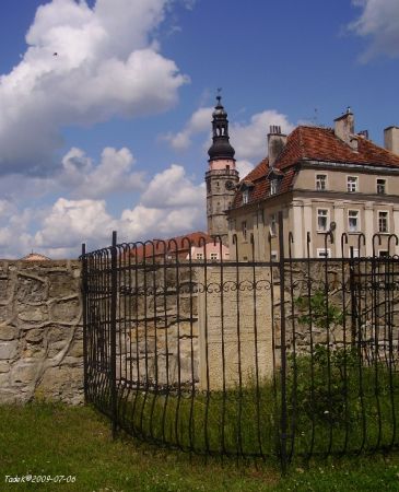 Dąb Papieski przy kościele Wn. NMP