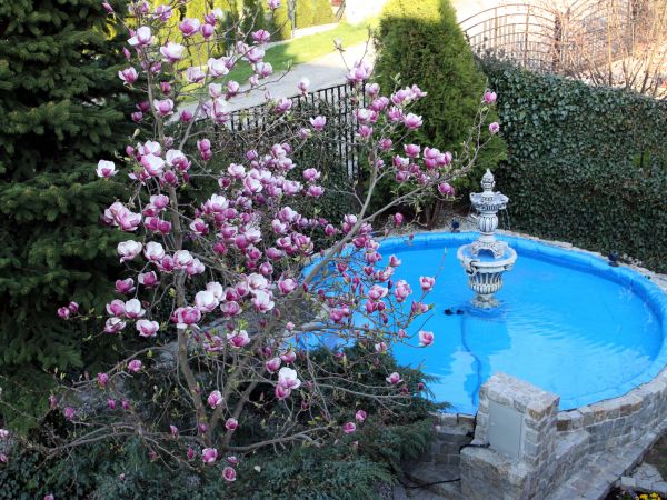 Fontanna w Nowogrodzcu