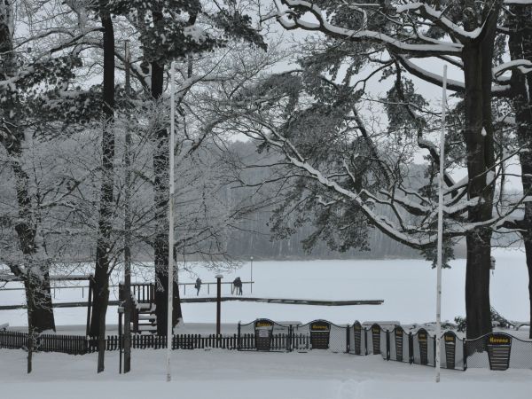 Wolsztyn - Park nad jeziorem. Zima 2010/2011