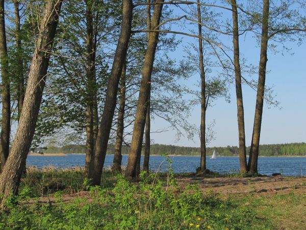 Na brzegu jeziora Wdzydze przy OW Largo