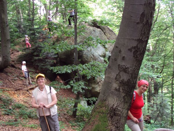 wśród olbrzymich bloków i płyt poukładanych w dziwaczne piramidy i głazy pojedynczo porozrzucane, pojawiają się interesujące odsłonięcia skalne - urwiste ściany