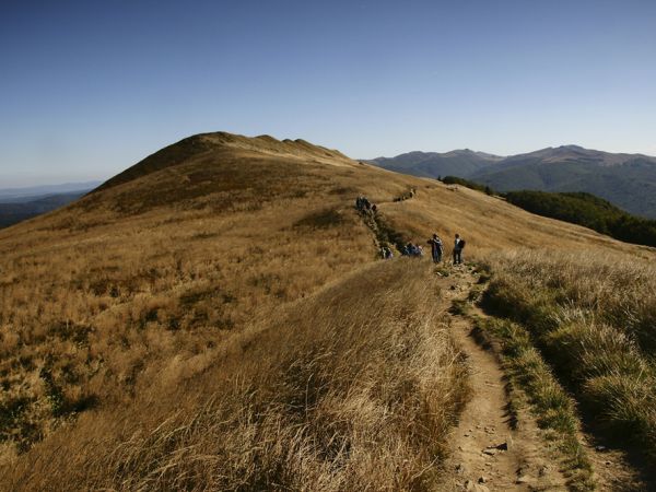 Połonina Caryńska-grzbiet