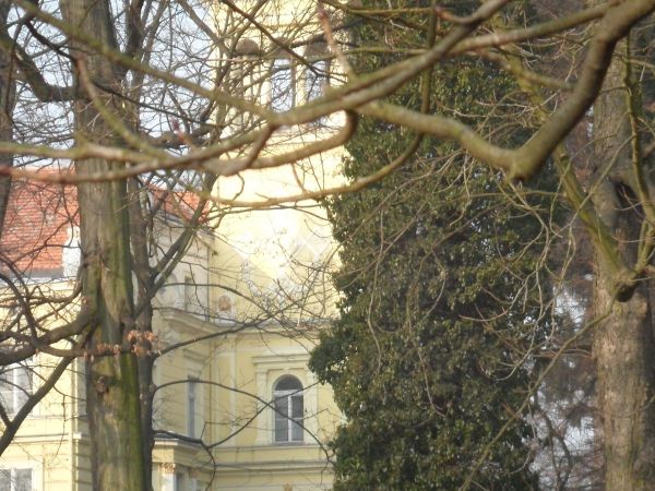 Pałac od strony parku