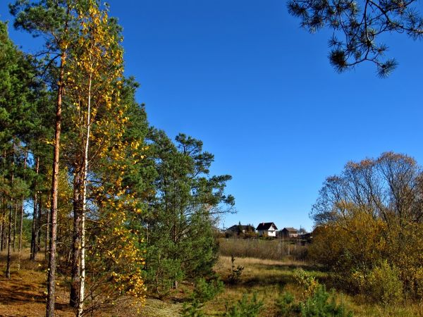 Widok na fragment Lubik Małych