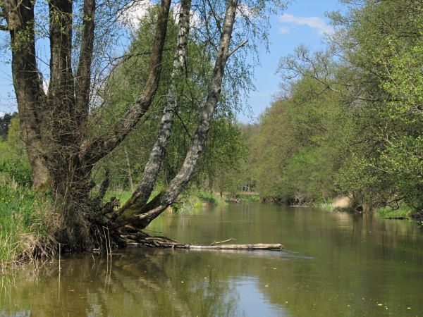 Kanał rzeki Wdy oraz teren nad nim położony