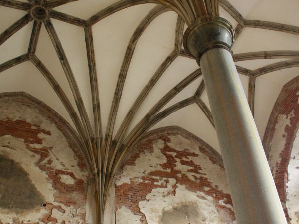 "strzępy" polichromii ściennej - niegdyś dzieła te tworzyli artyści światowi :  z Italii, Francji, Prus, wyżej : sklepienia w kaplicy pałacowej.