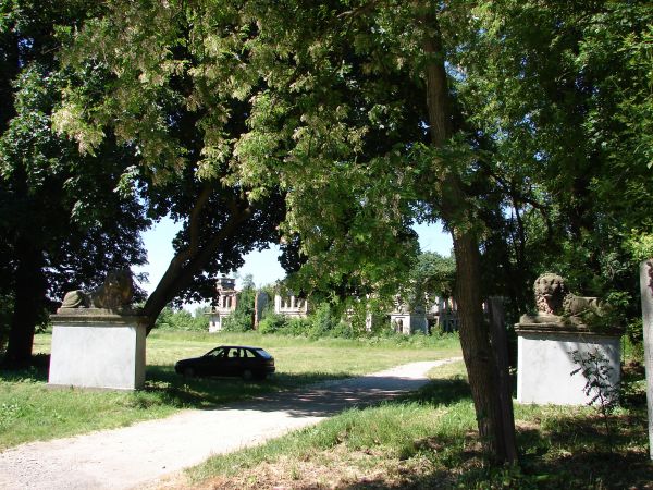 Ruiny pałacu Karskich