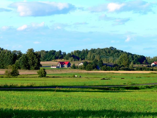 Zdjecie dotyczy Kocia Góra Kliczków Kolonia