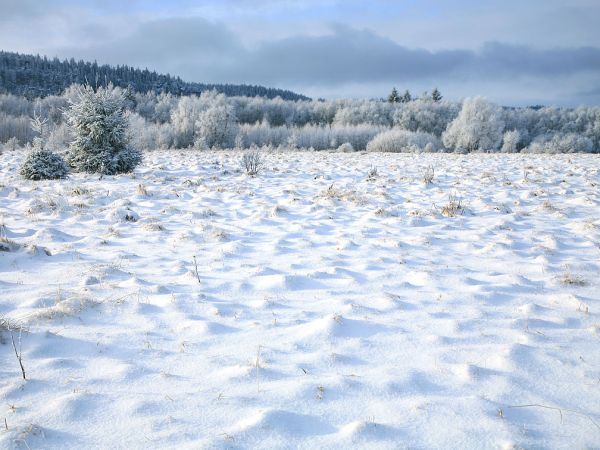 Zima w Pasterce w górach Stołowych. Malutka, malownicza wioska u samego podnóża Szczelińca Wielkiego jest unikalną już oazą ciszy i spokoju zadziwiając przy tym