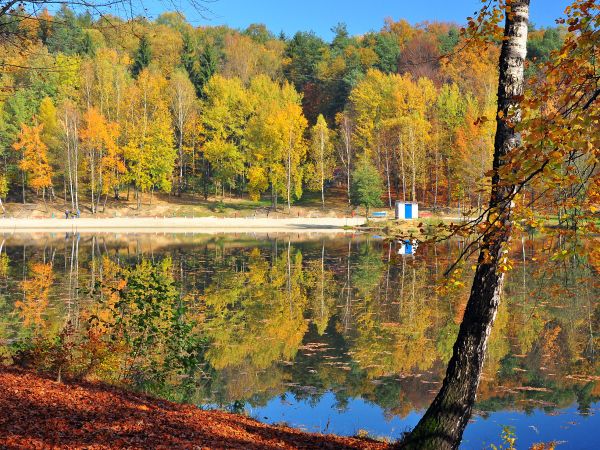 zdjecie Wodzisław Śląski