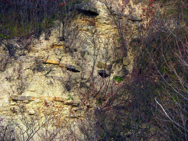 Ciekawostka - skała