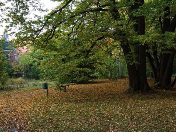 Ogród botaniczny jesienią