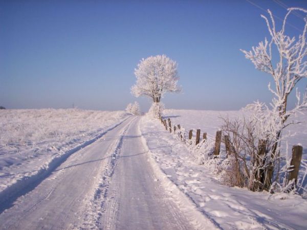zdjecie Polska Wieś