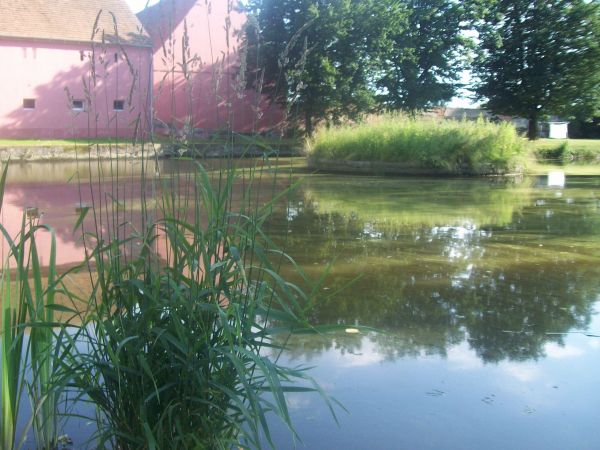 Zdjęcia Budziszów Wielki